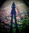 shadow