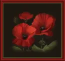 Vibrant_Red_Poppies