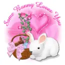 Some Bunny Loves You