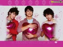 jonas brothers