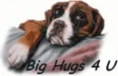 hugs