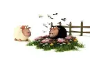 Sheep