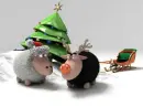 Sheep