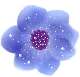 BLUE FLOWER