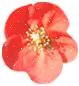 RED FLOWER