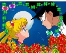 Mamoru and Usagi - Tuxedo Mask and Sailor Moon