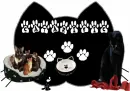 catarific