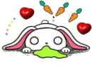 Bunny Cute
