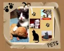 PETS