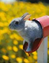 you've got mail