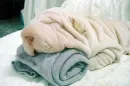 sleeping