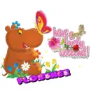 Hippo Greetings