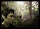 Elven Boy