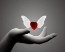 flying heart