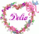 Grapevine heart - Delia