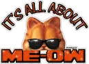 It's all about meow Garfield