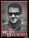 tony stewart