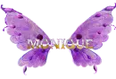 Monique's purple wings. 