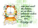 Stop and smell the flowers Garfield