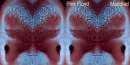 pink floyd,the wall