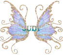 Judy's wings