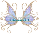 Felicity's wings