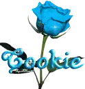 baby blue rose cookie