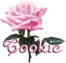 pink rose cookie