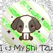 I â™¥ My Shi Tzu