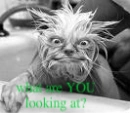What are you looking at?