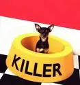 Killer Puppy