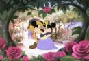  Minnie & MIckey in total love