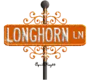 orange street sign longhorn LN