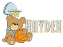 teddy bear basketball hayden