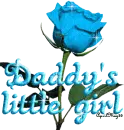 baby blue rose daddy's girl