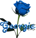 blue rose georgie