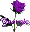 purple rose georgie