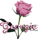pink rose georgie