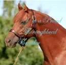 Proud thoroughbred breeder