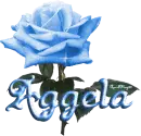 blue rose aggela