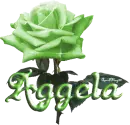 green rose aggela