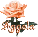 orange rose aggela