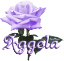 purple rose aggela