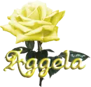 yellow rose aggela
