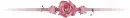 Golden Notes- Rose Dividers