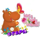 Hippo Greeting