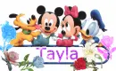 Baby Disney Characters Name Tag- Tayla