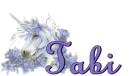 Tabi