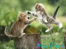Best friends