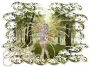 Have a Magical day fairy